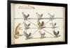 Album ; Ballet  Fées  Forêts de Saint Germain ; "Jeu du renard et  pou"; huit figures-Daniel Rabel-Framed Giclee Print