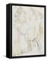 Album : cheval hennissant ; cheval cabré ; cheval allongé ; crâne de cheval-Jacques-Louis David-Framed Stretched Canvas