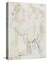 Album : cheval hennissant ; cheval cabré ; cheval allongé ; crâne de cheval-Jacques-Louis David-Stretched Canvas