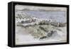 Album d'Afrique du Nord et d'Espagne : vue de Tanger-Eugene Delacroix-Framed Stretched Canvas