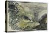 Album des Pyrénées : paysage de montagne avec fond nuageux-Eugene Delacroix-Stretched Canvas