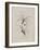 Album Donovan : an epitome of the natural history of insects in China-Edward Donovan-Framed Giclee Print