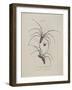 Album Donovan : an epitome of the natural history of insects in China-Edward Donovan-Framed Giclee Print