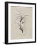 Album Donovan : an epitome of the natural history of insects in China-Edward Donovan-Framed Giclee Print