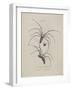 Album Donovan : an epitome of the natural history of insects in China-Edward Donovan-Framed Giclee Print