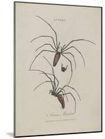 Album Donovan : an epitome of the natural history of insects in China-Edward Donovan-Mounted Giclee Print