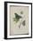 Album Donovan : an epitome of the natural history of insects in China-Edward Donovan-Framed Giclee Print