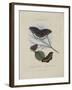 Album Donovan : an epitome of the natural history of insects in China-Edward Donovan-Framed Giclee Print