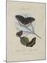 Album Donovan : an epitome of the natural history of insects in China-Edward Donovan-Mounted Giclee Print