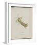 Album Donovan : an epitome of the natural history of insects in China-Edward Donovan-Framed Giclee Print