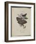 Album Donovan : an epitome of the natural history of insects in China-Edward Donovan-Framed Giclee Print