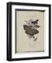 Album Donovan : an epitome of the natural history of insects in China-Edward Donovan-Framed Giclee Print