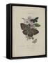 Album Donovan : an epitome of the natural history of insects in China-Edward Donovan-Framed Stretched Canvas