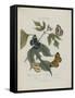 Album Donovan : an epitome of the natural history of insects in China-Edward Donovan-Framed Stretched Canvas