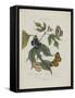 Album Donovan : an epitome of the natural history of insects in China-Edward Donovan-Framed Stretched Canvas