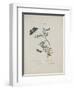 Album Donovan : an epitome of the natural history of insects in China-Edward Donovan-Framed Giclee Print