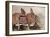 Album du Maroc: Une Selle-Eugene Delacroix-Framed Giclee Print