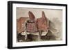 Album du Maroc: Une Selle-Eugene Delacroix-Framed Giclee Print