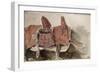 Album du Maroc: Une Selle-Eugene Delacroix-Framed Giclee Print