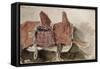 Album du Maroc: Une Selle-Eugene Delacroix-Framed Stretched Canvas