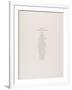 Album n°6, page de garde d'un ensemble d'états imprimés des lithographies de Picasso-null-Framed Giclee Print