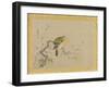 Album of Copies of Chinese Paintings, Album Leaf-Kano Tsunenobu-Framed Giclee Print