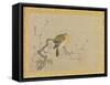 Album of Copies of Chinese Paintings, Album Leaf-Kano Tsunenobu-Framed Stretched Canvas