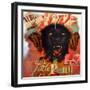 Album of Hope-Shark Toof-Framed Art Print