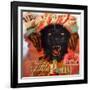 Album of Hope-Shark Toof-Framed Art Print