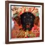 Album of Hope-Shark Toof-Framed Art Print