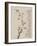 Album of Ten Leaves, 1656-Shengmo Xiang-Framed Giclee Print