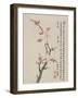 Album of Ten Leaves, 1656-Shengmo Xiang-Framed Giclee Print