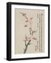 Album of Ten Leaves, 1656-Shengmo Xiang-Framed Giclee Print