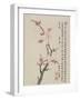 Album of Ten Leaves, 1656-Shengmo Xiang-Framed Giclee Print