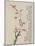 Album of Ten Leaves, 1656-Shengmo Xiang-Mounted Giclee Print