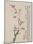 Album of Ten Leaves, 1656-Shengmo Xiang-Mounted Giclee Print