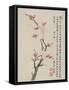 Album of Ten Leaves, 1656-Shengmo Xiang-Framed Stretched Canvas