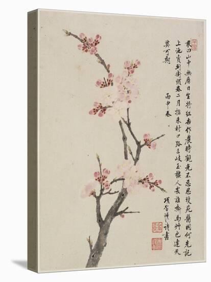 Album of Ten Leaves, 1656-Shengmo Xiang-Stretched Canvas