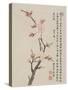 Album of Ten Leaves, 1656-Shengmo Xiang-Stretched Canvas