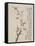 Album of Ten Leaves, 1656-Shengmo Xiang-Framed Stretched Canvas