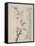 Album of Ten Leaves, 1656-Shengmo Xiang-Framed Stretched Canvas