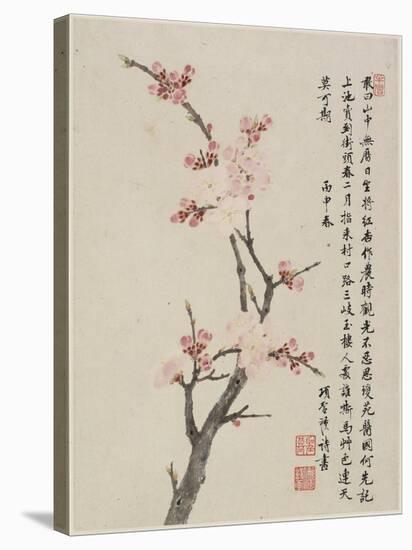 Album of Ten Leaves, 1656-Shengmo Xiang-Stretched Canvas