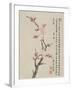 Album of Ten Leaves, 1656-Shengmo Xiang-Framed Giclee Print