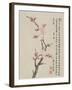 Album of Ten Leaves, 1656-Shengmo Xiang-Framed Giclee Print