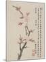 Album of Ten Leaves, 1656-Shengmo Xiang-Mounted Giclee Print