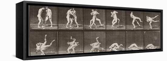 Album sur la décomposition du mouvement : "Animal locomotion", 1872/85. Lutte de deux hommes nus-Eadweard Muybridge-Framed Stretched Canvas