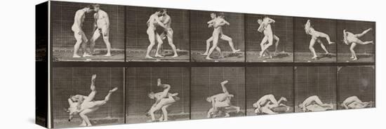 Album sur la décomposition du mouvement : "Animal locomotion", 1872/85. Lutte de deux hommes nus-Eadweard Muybridge-Stretched Canvas