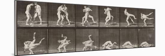 Album sur la décomposition du mouvement : "Animal locomotion", 1872/85. Lutte de deux hommes nus-Eadweard Muybridge-Mounted Giclee Print