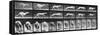 Album sur la décomposition du mouvement, Animal Locomotion: chien-Eadweard Muybridge-Framed Stretched Canvas
