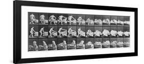 Album sur la décomposition du mouvement:Animal Locomotion: femme nue se couchant-Eadweard Muybridge-Framed Giclee Print